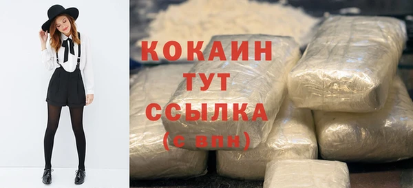 шишки Козельск
