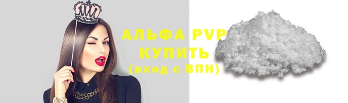 шишки Козельск