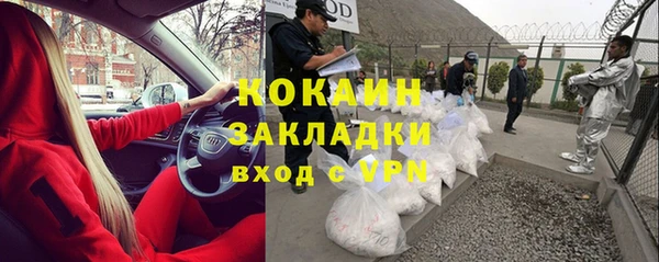шишки Козельск